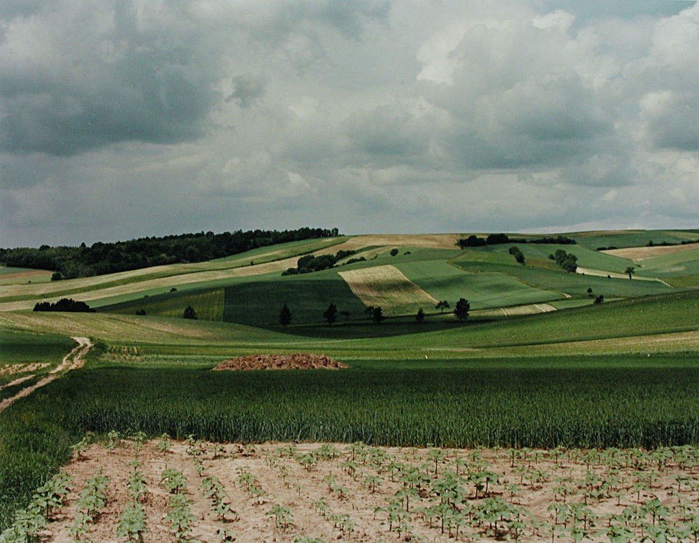 S-0951, Fritz Simak, "Landschaft 16:34", 1993