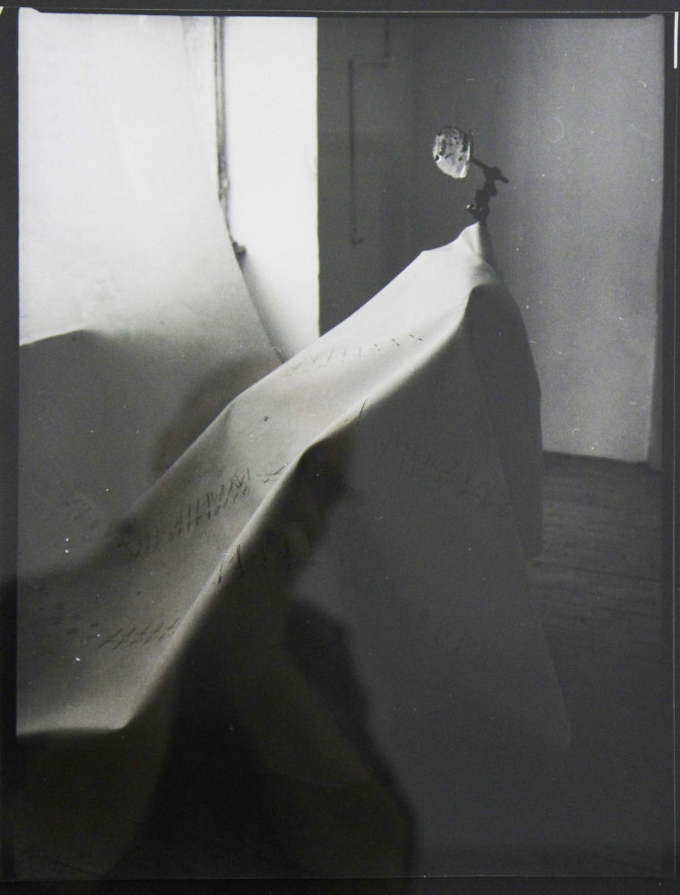 S-1514, Anja Manfredi, "Eine Geste wird belichtet &ndash; photographische Weiterf&uuml;hrung", 2013