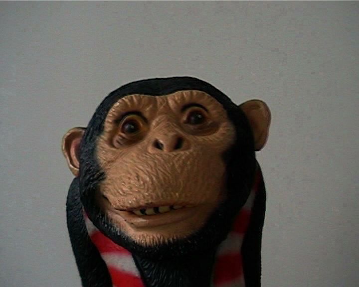 S-1550, Anna Jermolaewa, "Affentheater", 2002