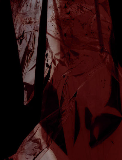 S-1564, Maria Hahnenkamp, "Regina Fragmente", 2008