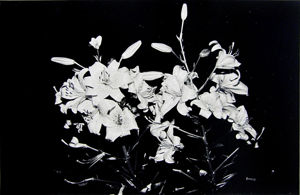 S-1569, Robert Zahornicky, "Kleingartenverein Spallart", 1987