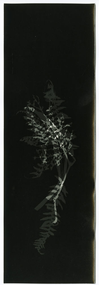 S-1628, Robert Zahornicky, 2012