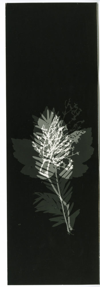 S-1631, Robert Zahornicky, 2012