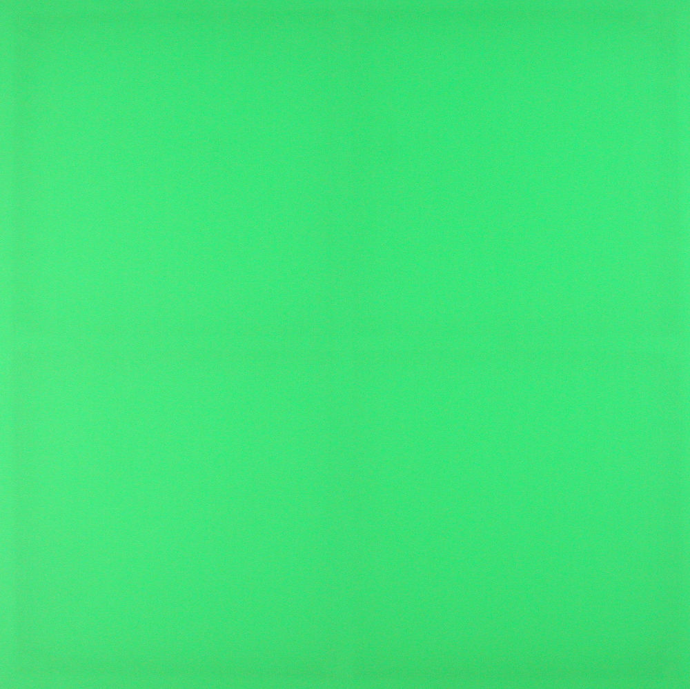 S-2099, Heimo Zobernig, "Greenbox", 1999