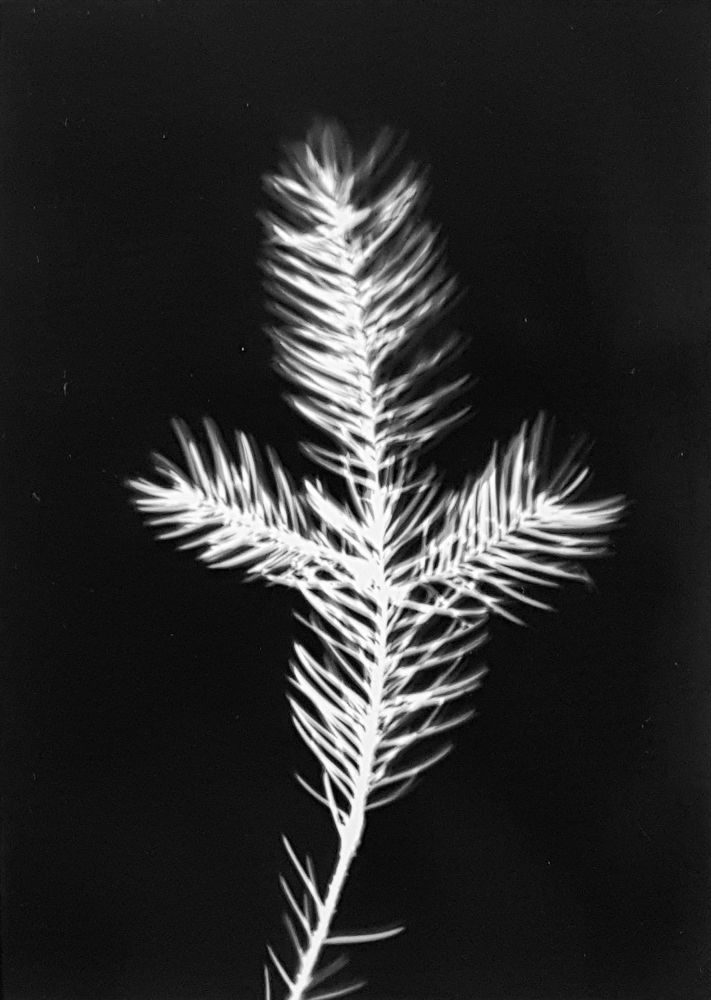 S-2103, Robert Zahornicky, ohne Titel, 2017