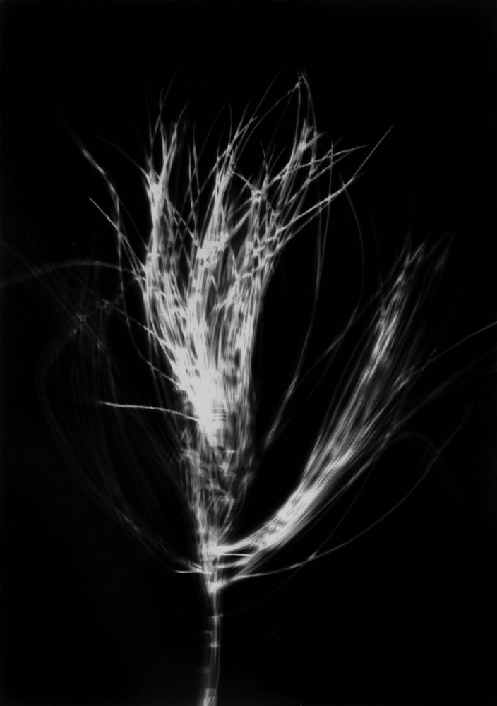 S-2283, Robert Zahornicky, ohne Titel, 2018