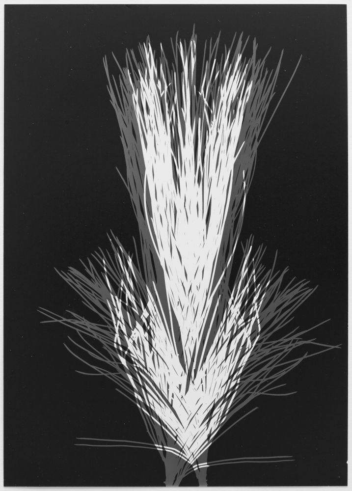 S-2531, Robert Zahornicky, ohne Titel, 2020