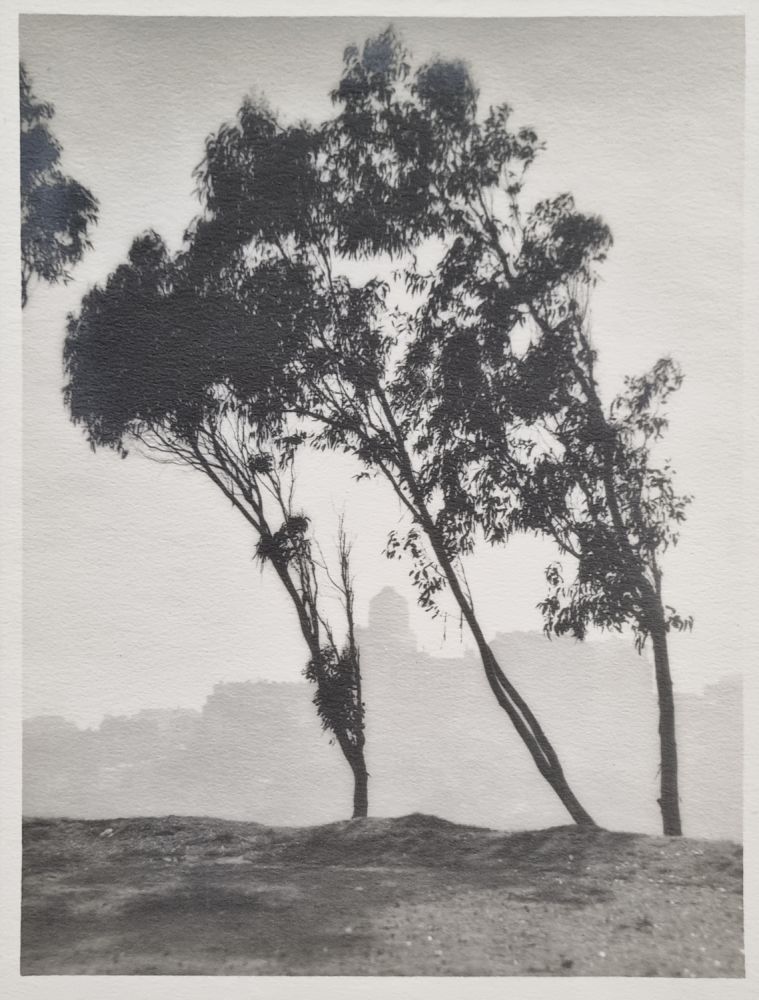 S-2608, William Edward Dassonville, "San Francisco from Telegraph Hill", um 1925