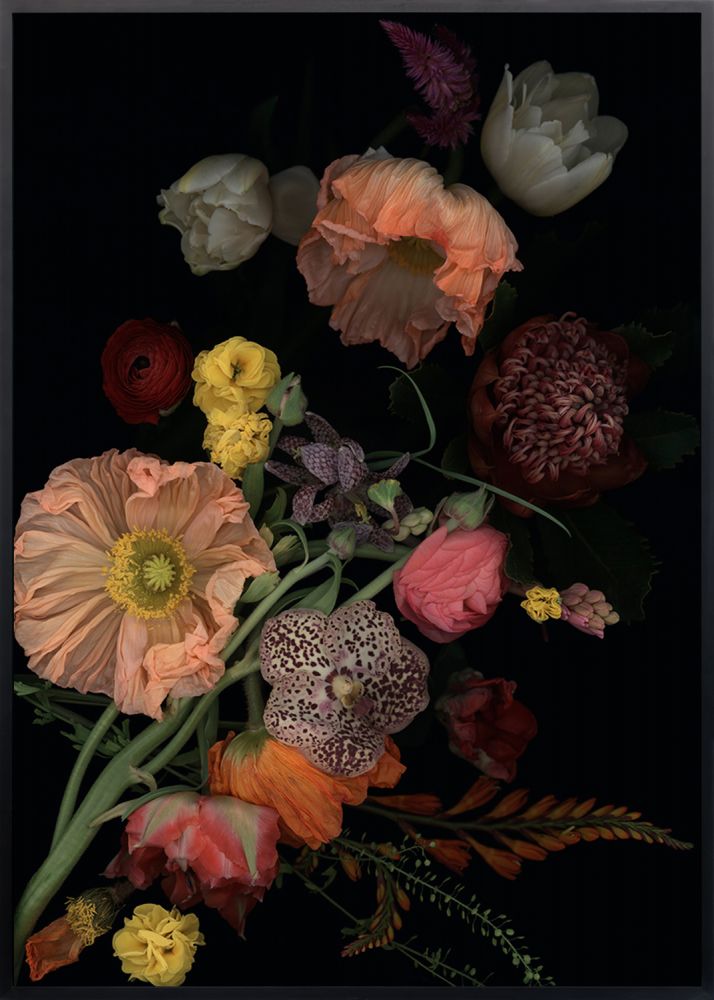 S-2626, Luzia Simons, "Stockage 197", 2022