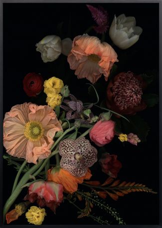 S-2626, "Stockage 197"