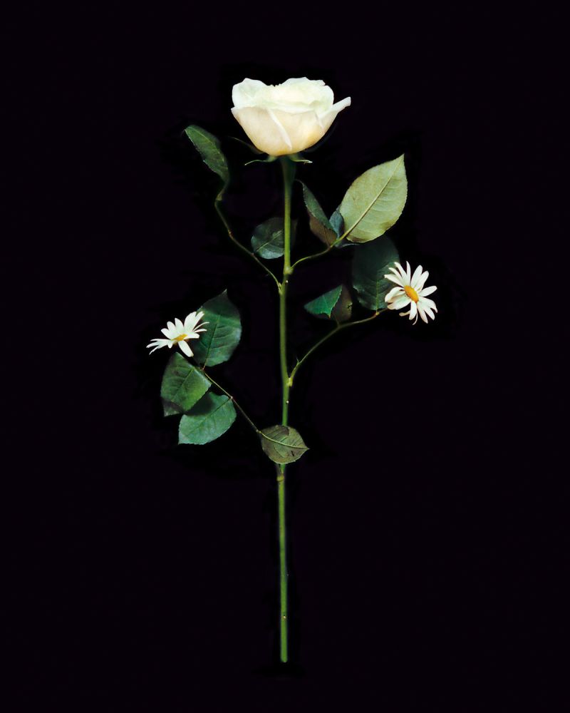 S-2748, Dieter Huber, "Klone #10", 1994/95