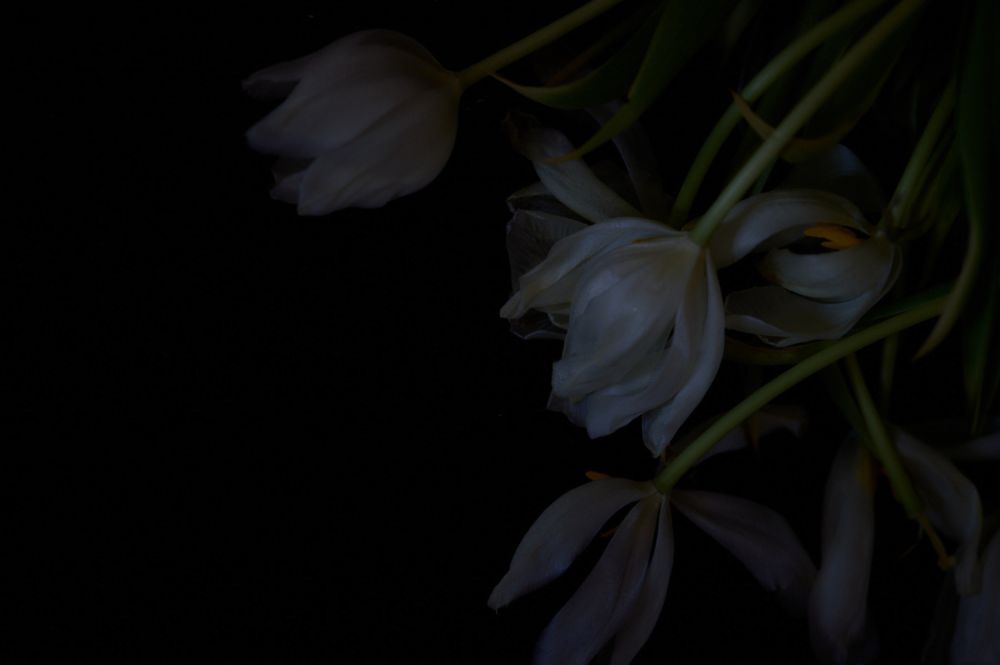 S-2853, Sabine Christina Fritsch, ohne Titel