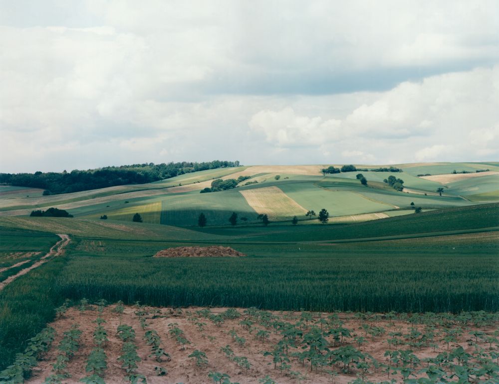 S-2914, Fritz Simak, "Landschaft 16:33", 1993
