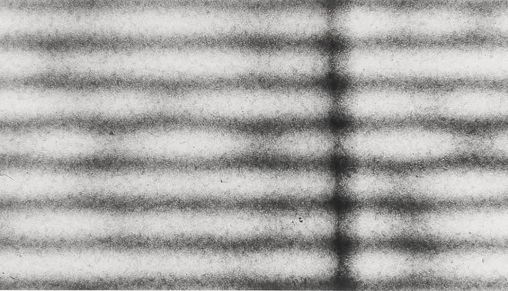 S-2998, Günther Selichar, untitled, 1993-1995