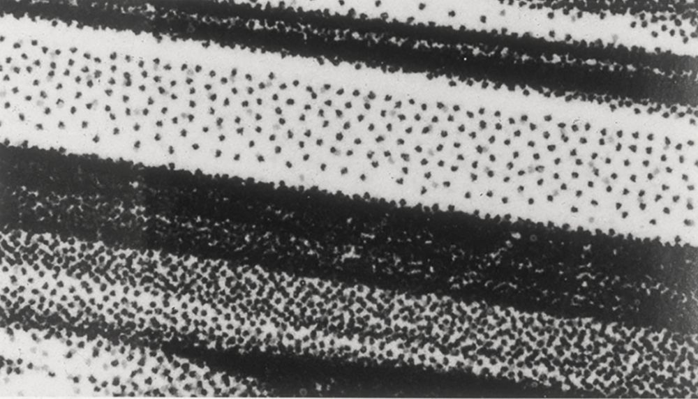 S-3000, Günther Selichar, untitled, 1993-1995