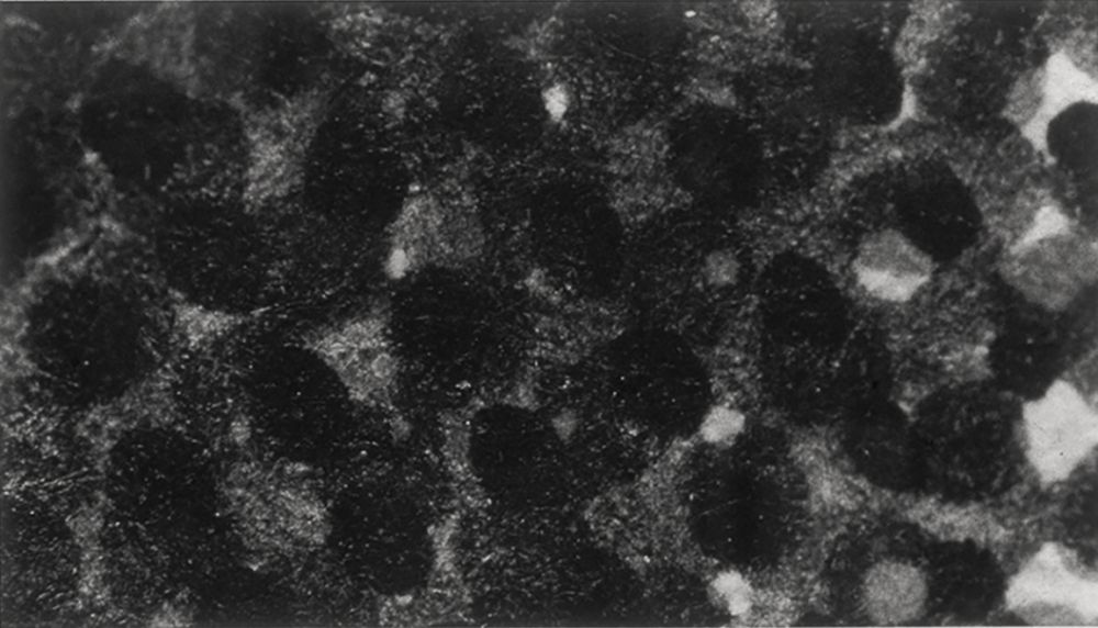 S-3003, Günther Selichar, untitled, 1993-1995