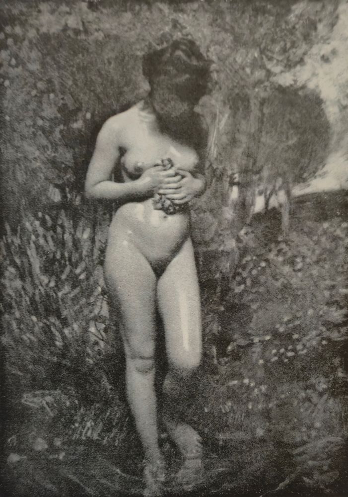 S-3009, Frank Eugene, ohne Titel, um 1908