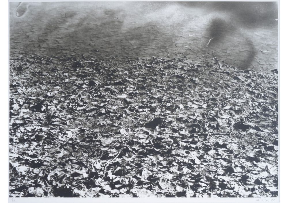 S-3013, Ralf Cohen, ohne Titel, 1997