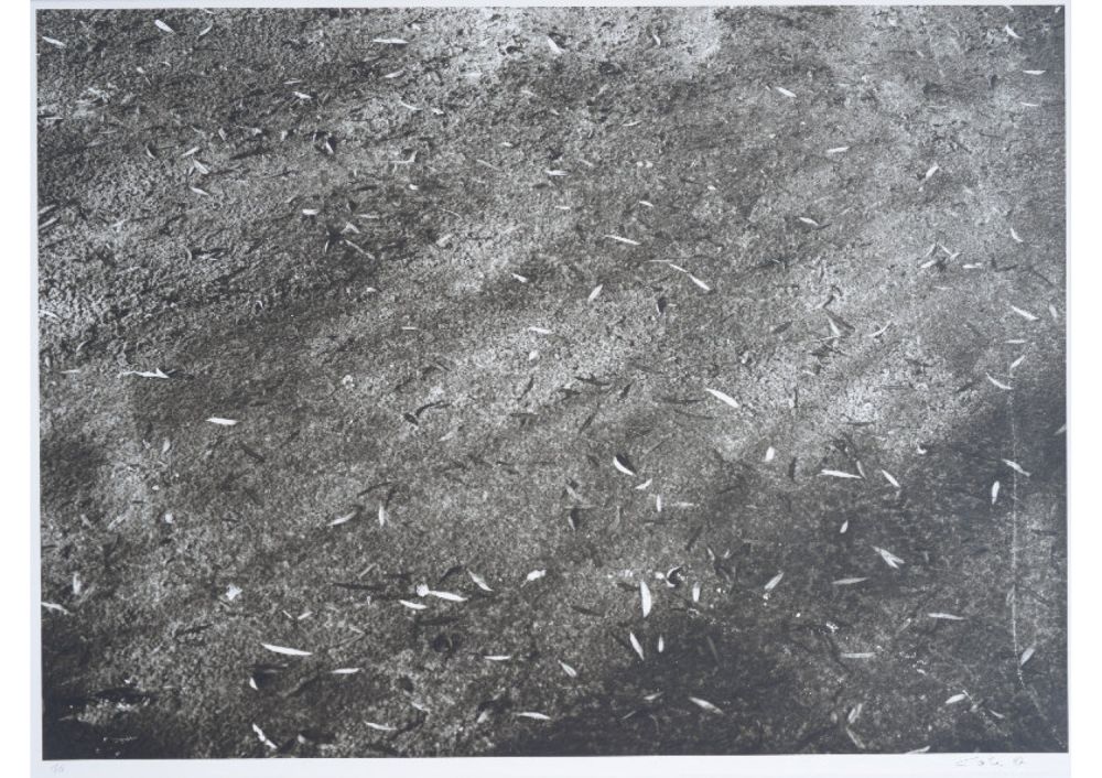 S-3014, Ralf Cohen, ohne Titel, 1997