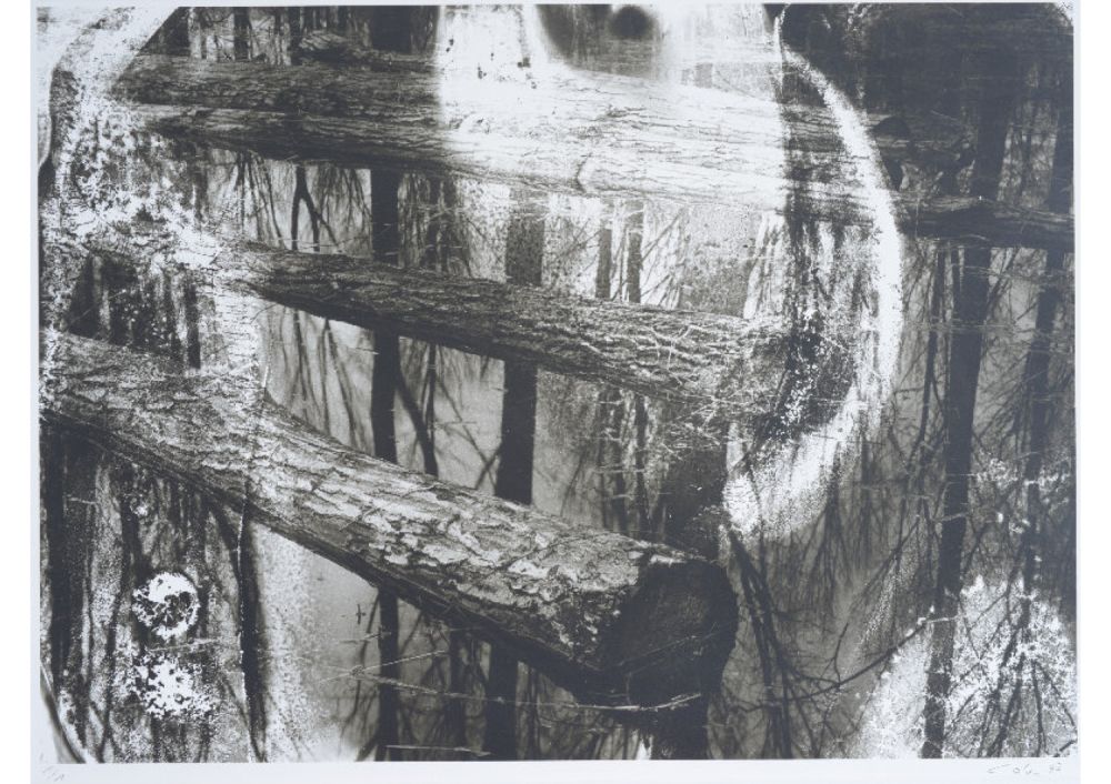 S-3015, Ralf Cohen, ohne Titel, 1997