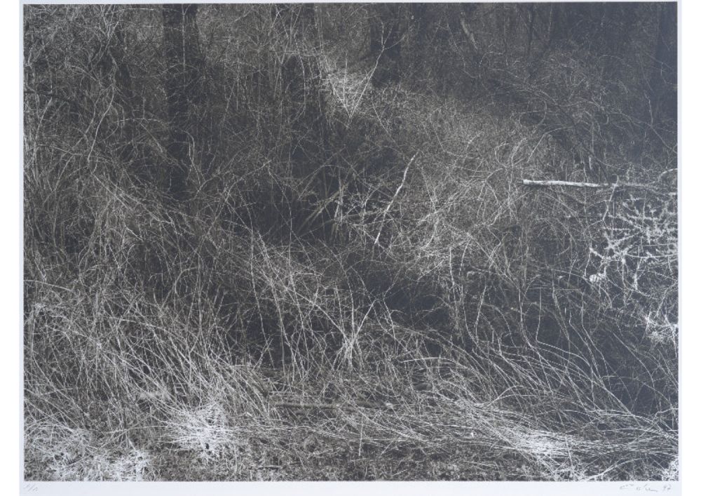 S-3016, Ralf Cohen, ohne Titel, 1997