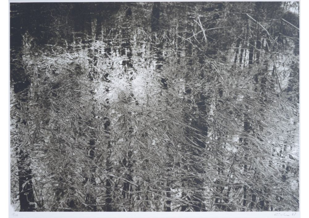 S-3017, Ralf Cohen, ohne Titel, 1997