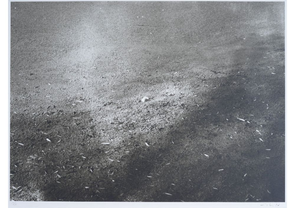 S-3019, Ralf Cohen, ohne Titel, 1997