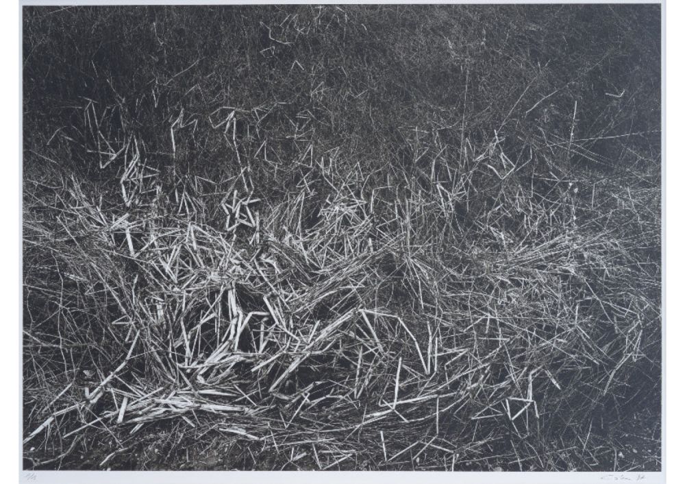 S-3021, Ralf Cohen, ohne Titel, 1997