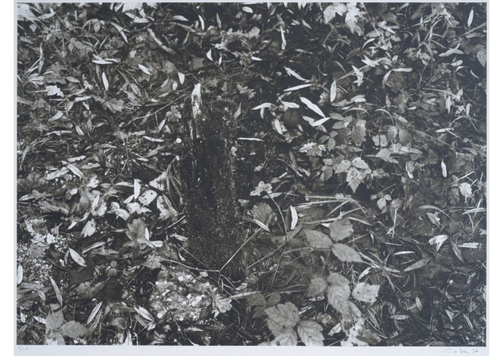 S-3022, Ralf Cohen, ohne Titel, 1997