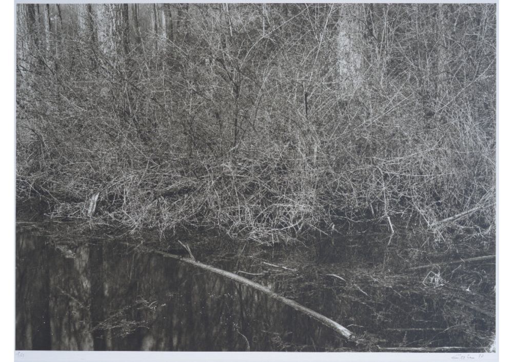 S-3023, Ralf Cohen, ohne Titel, 1997