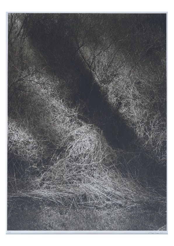 S-3025, Ralf Cohen, ohne Titel, 1997