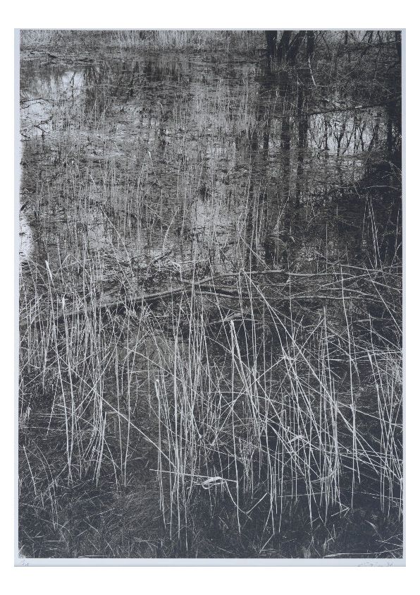 S-3026, Ralf Cohen, ohne Titel, 1997