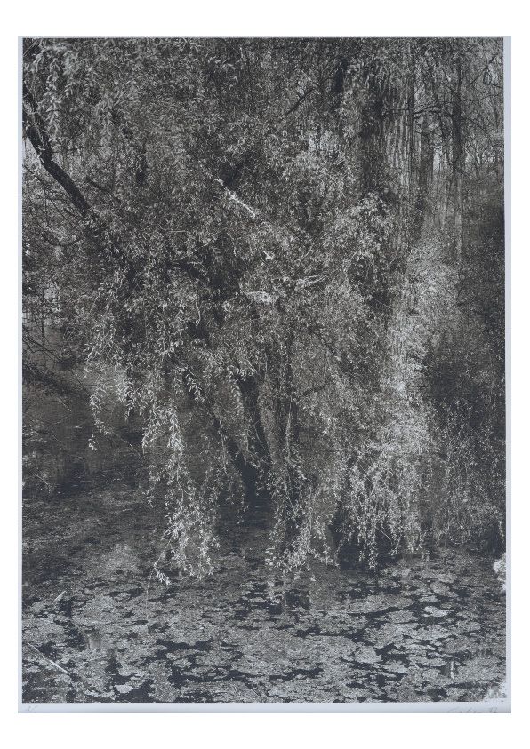 S-3027, Ralf Cohen, ohne Titel, 1997