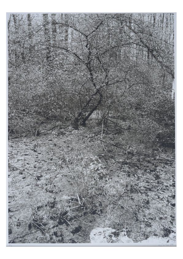 S-3028, Ralf Cohen, ohne Titel, 1997