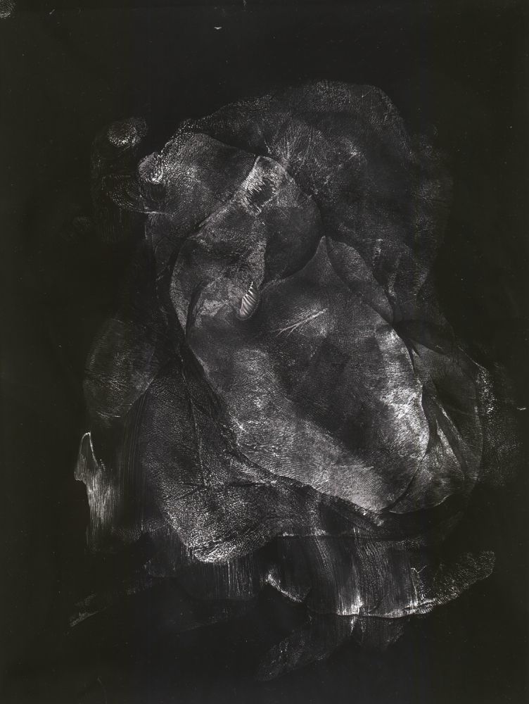 S-3115, Antje Lindner, "Printogramm, Nr. 2", 1999