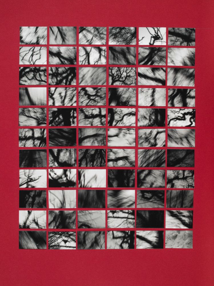 S-3156, Robert Waldl, "Naturstudie", 1986–1989