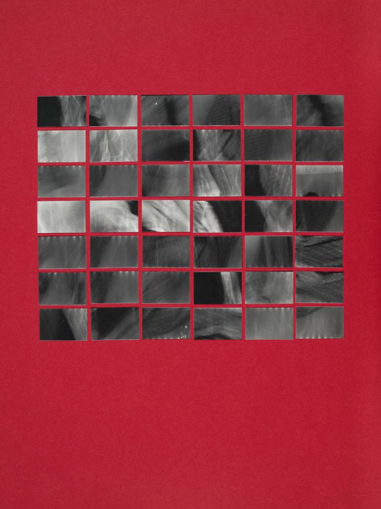 S-3159, Robert Waldl, "Stilleben", 1986–1989