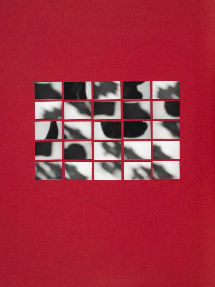 S-3161, Robert Waldl, "Schattenstudie", 1986–1989