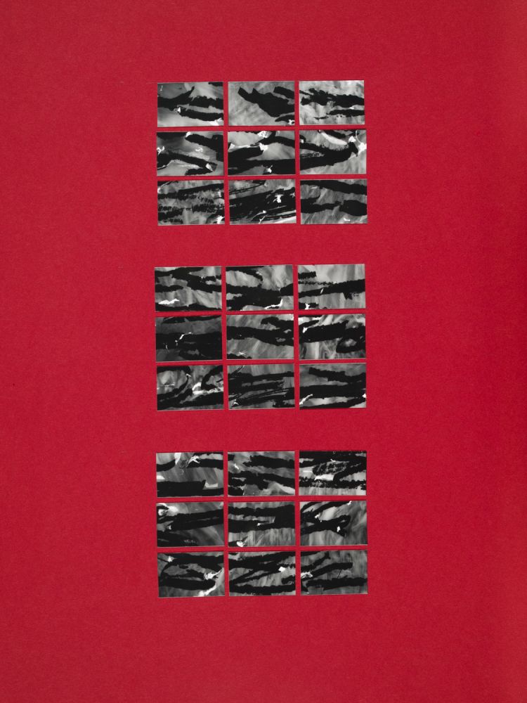 S-3163, Robert Waldl, "Zerkratze", 1986–1989